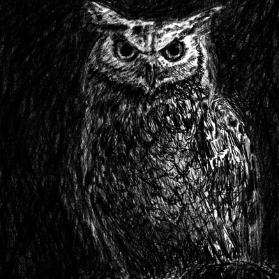 Great Horned Owl